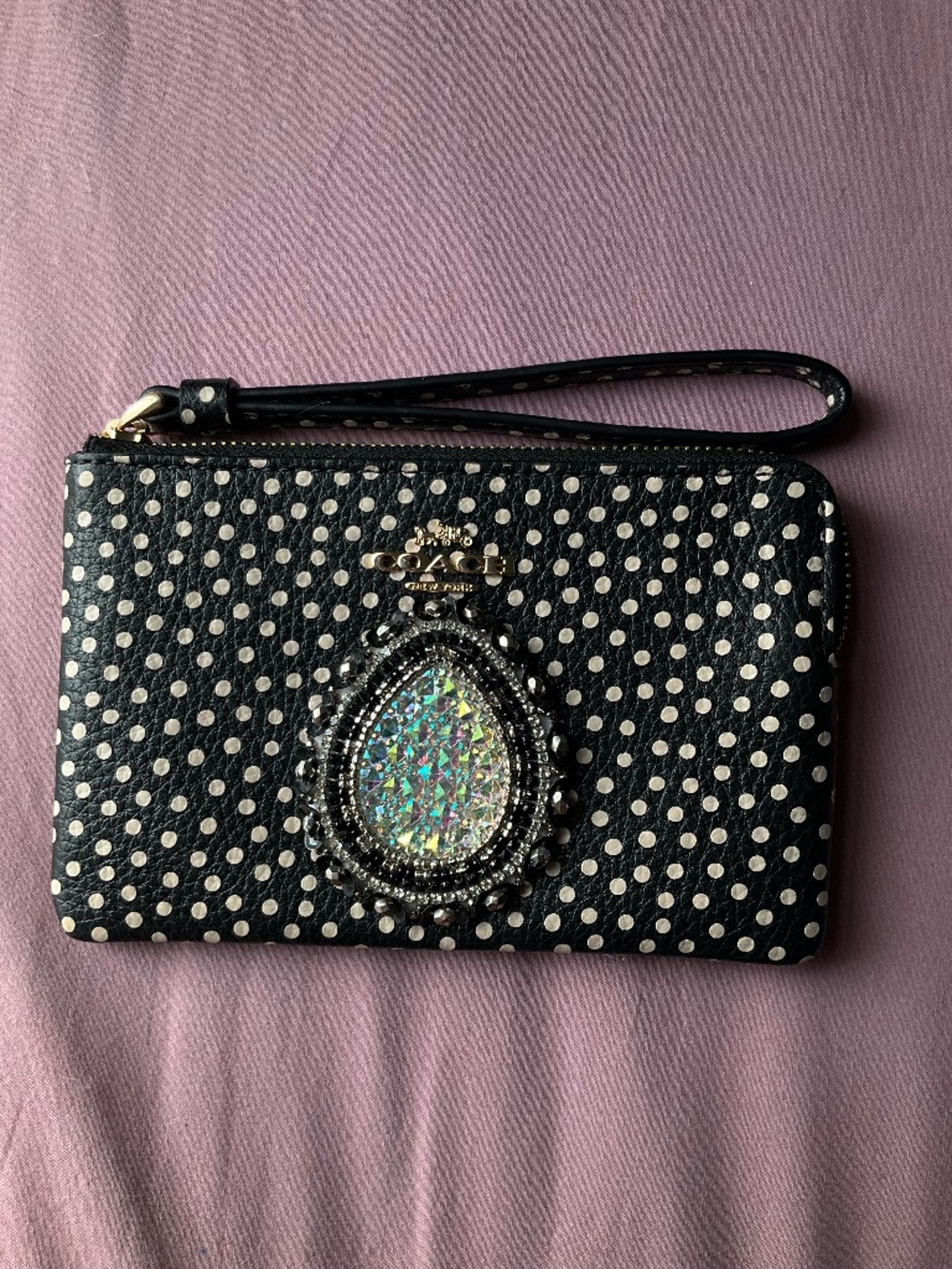 Coach Beaded Zip Up Pouch